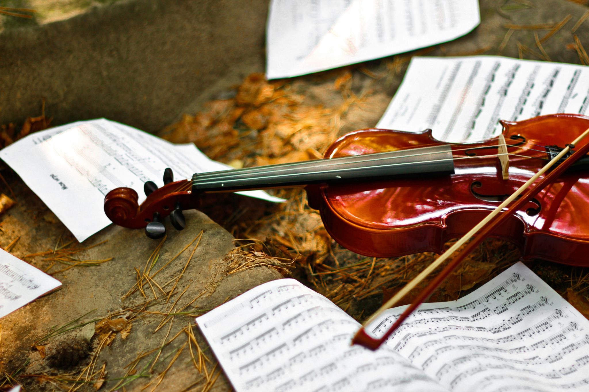 Fiori Musicali Autumn/Winter Season - booking now open! Image of a violin and sheet music on a background of autumnal colours